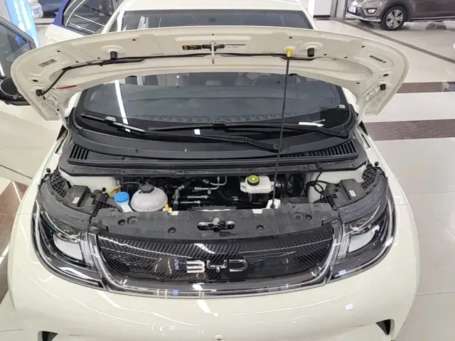 BYD Dolphin — Фото автомобиля 19
