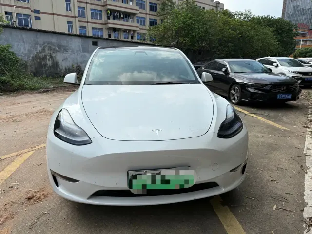 Tesla Model Y — Фото автомобиля 2