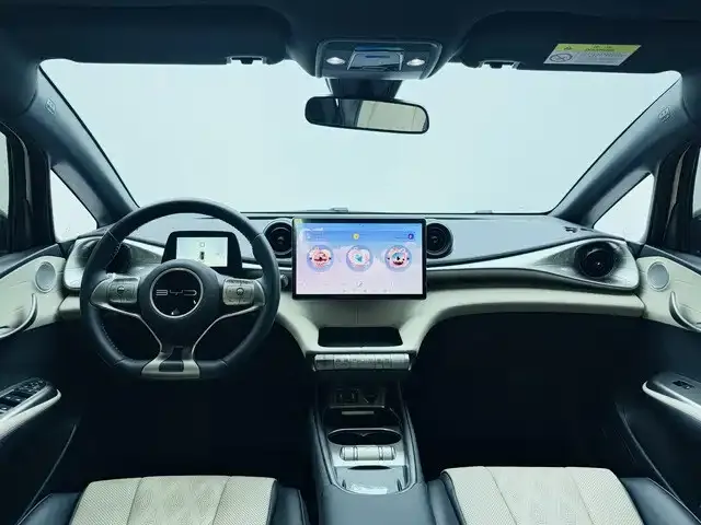 BYD Dolphin — Фото автомобиля 12