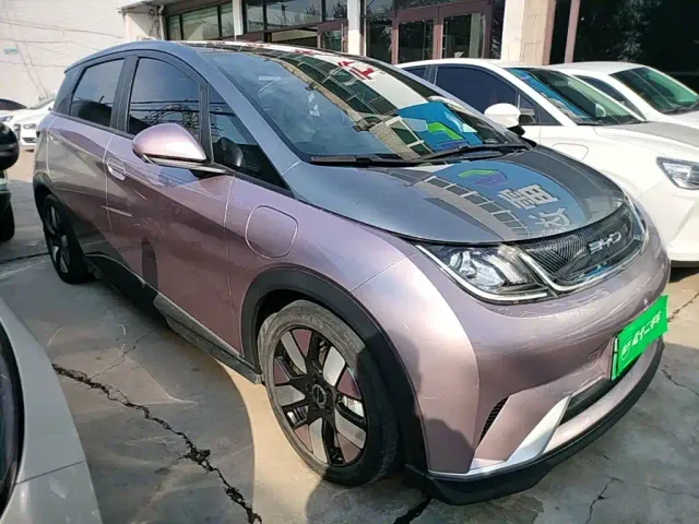 BYD Dolphin — Фото автомобиля 3