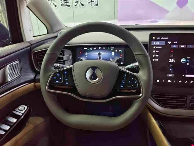 Denza D9 — Фото автомобиля 13