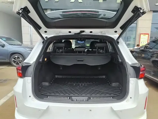 Exeed Exeed Windchaser 2020 1.6T DCT Star Premium Edition — Фото автомобиля 18