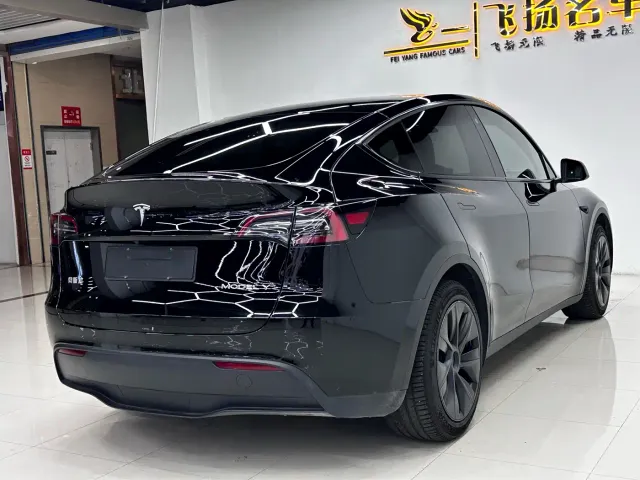 Tesla Model Y — Фото автомобиля 11