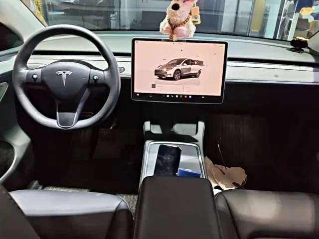 Tesla Model Y — Фото автомобиля 9
