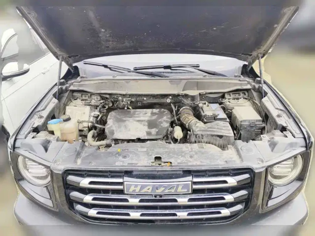 Haval Big Dog — Фото автомобиля 3