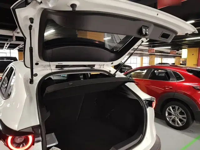 Mazda CX-30 EV — Фото автомобиля 18