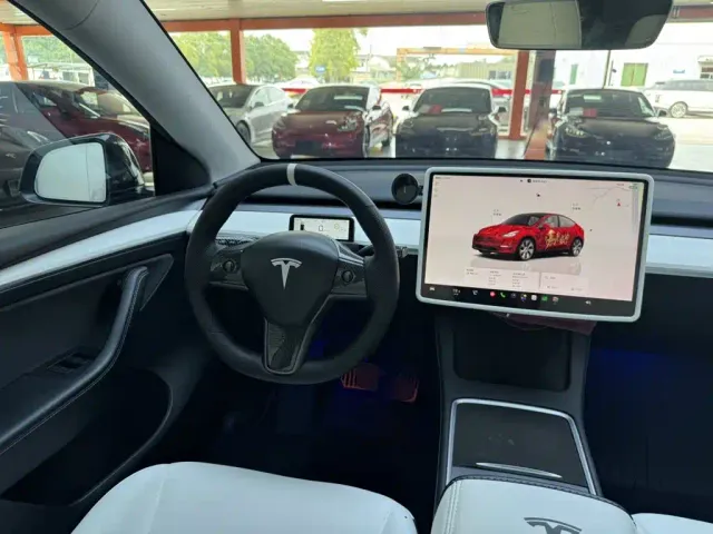 Tesla Model Y — Фото автомобиля 10