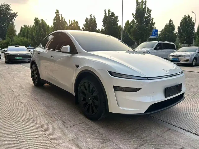 Tesla Model Y — Фото автомобиля 3
