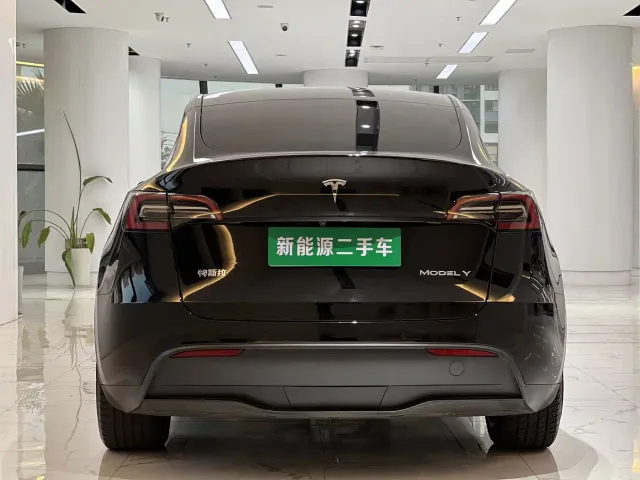 Tesla Model Y — Фото автомобиля 9