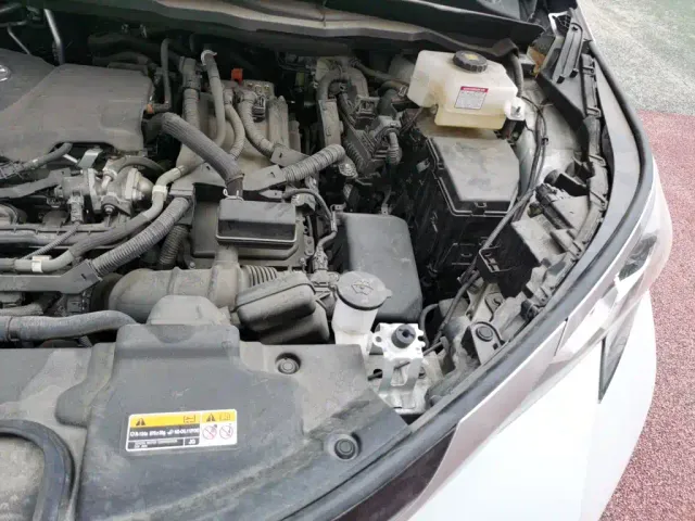 Toyota Sienna — Фото автомобиля 21