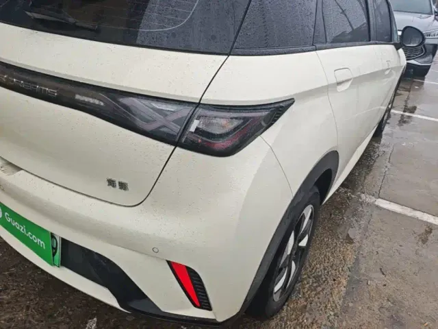 BYD Dolphin — Фото автомобиля 7