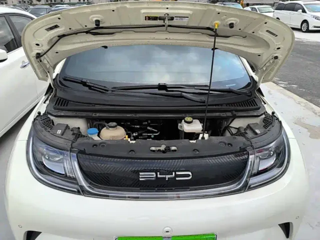 BYD Dolphin — Фото автомобиля 19