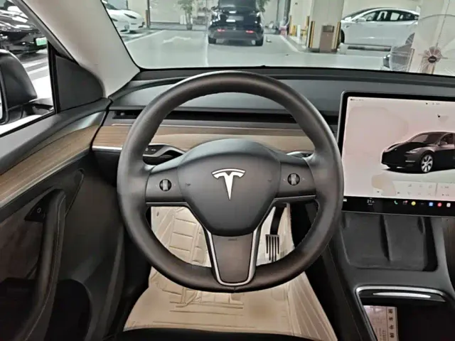 Tesla Model Y — Фото автомобиля 10