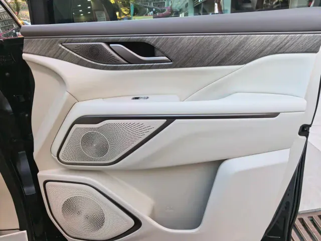 Wey Alpine — Фото автомобиля 17