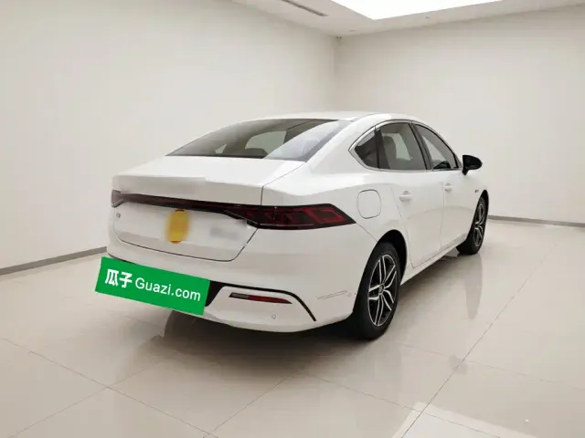 BYD Qin PLUS 2021 DM-i 55KM Flagship — Фото автомобиля 6