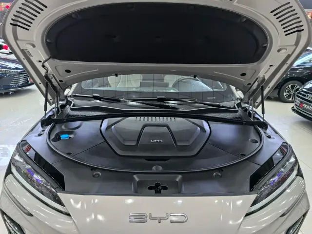 BYD Song PLUS — Фото автомобиля 10