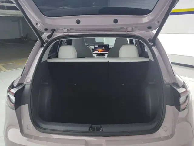 Geely Starry Wish — Фото автомобиля 4