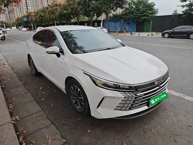 BYD Destroyer 05 — Фото автомобиля 3