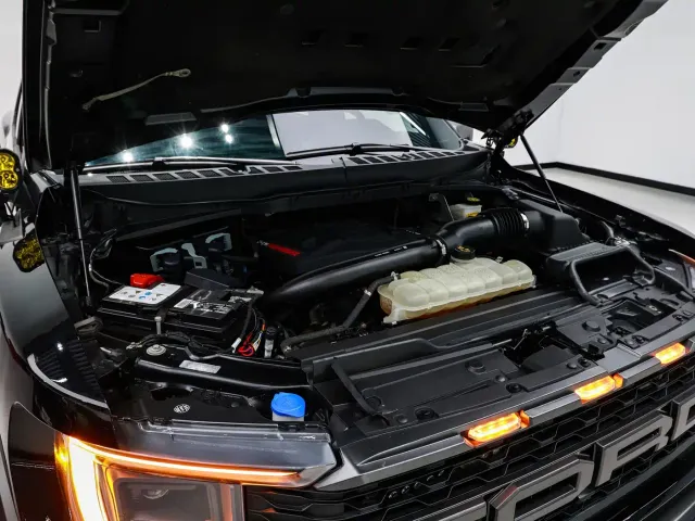 Ford F-150 Raptor — Фото автомобиля 21