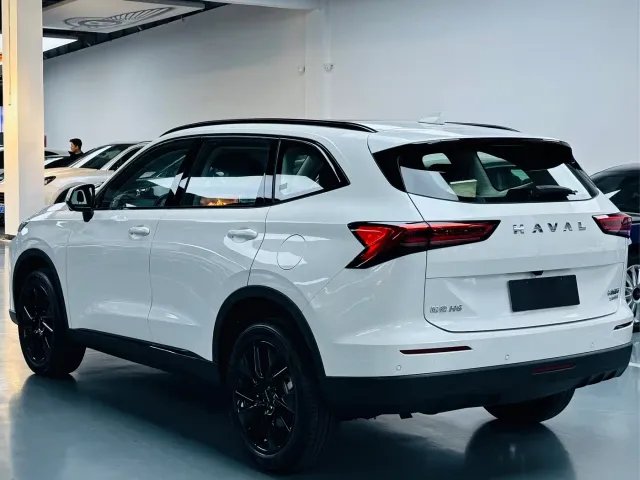 Haval H6 — Фото автомобиля 13