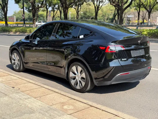 Tesla Model Y — Фото автомобиля 5