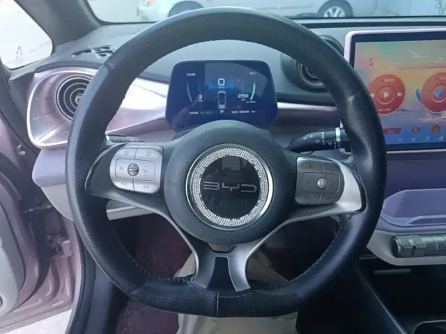 BYD Dolphin — Фото автомобиля 10