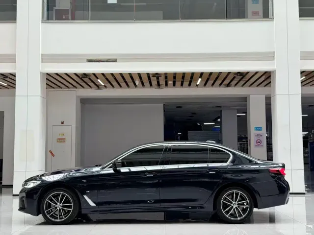 BMW 5 Series — Фото автомобиля 8