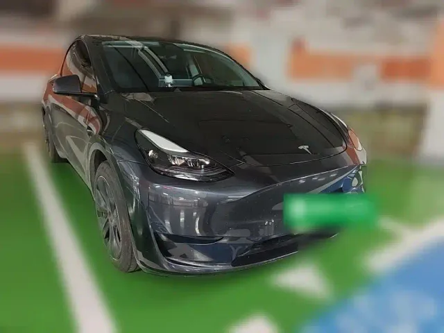 Tesla Model Y — Фото автомобиля 3