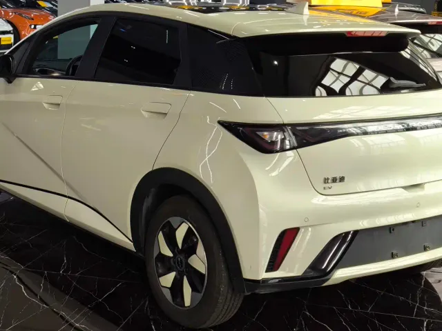 BYD Dolphin — Фото автомобиля 4