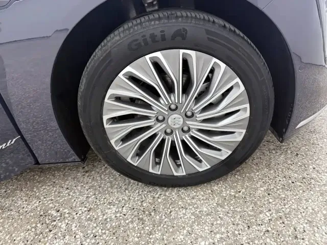 Buick Electra L7 — Фото автомобиля 16