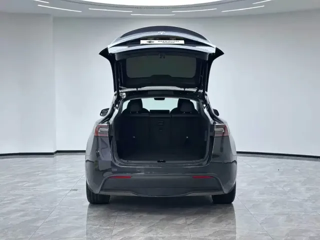 Tesla Model Y — Фото автомобиля 3