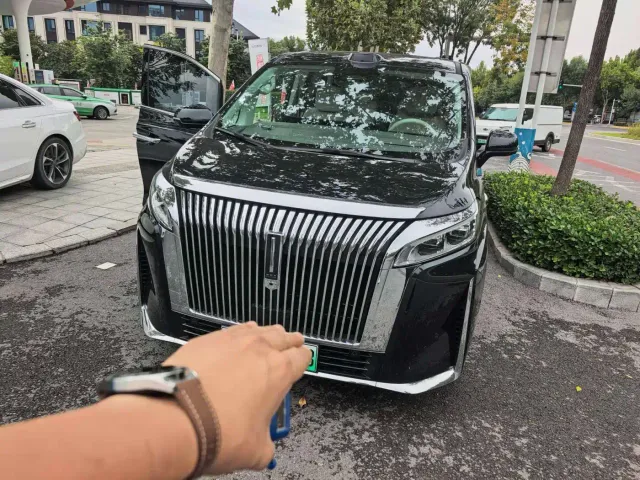 Wey Alpine — Фото автомобиля 9