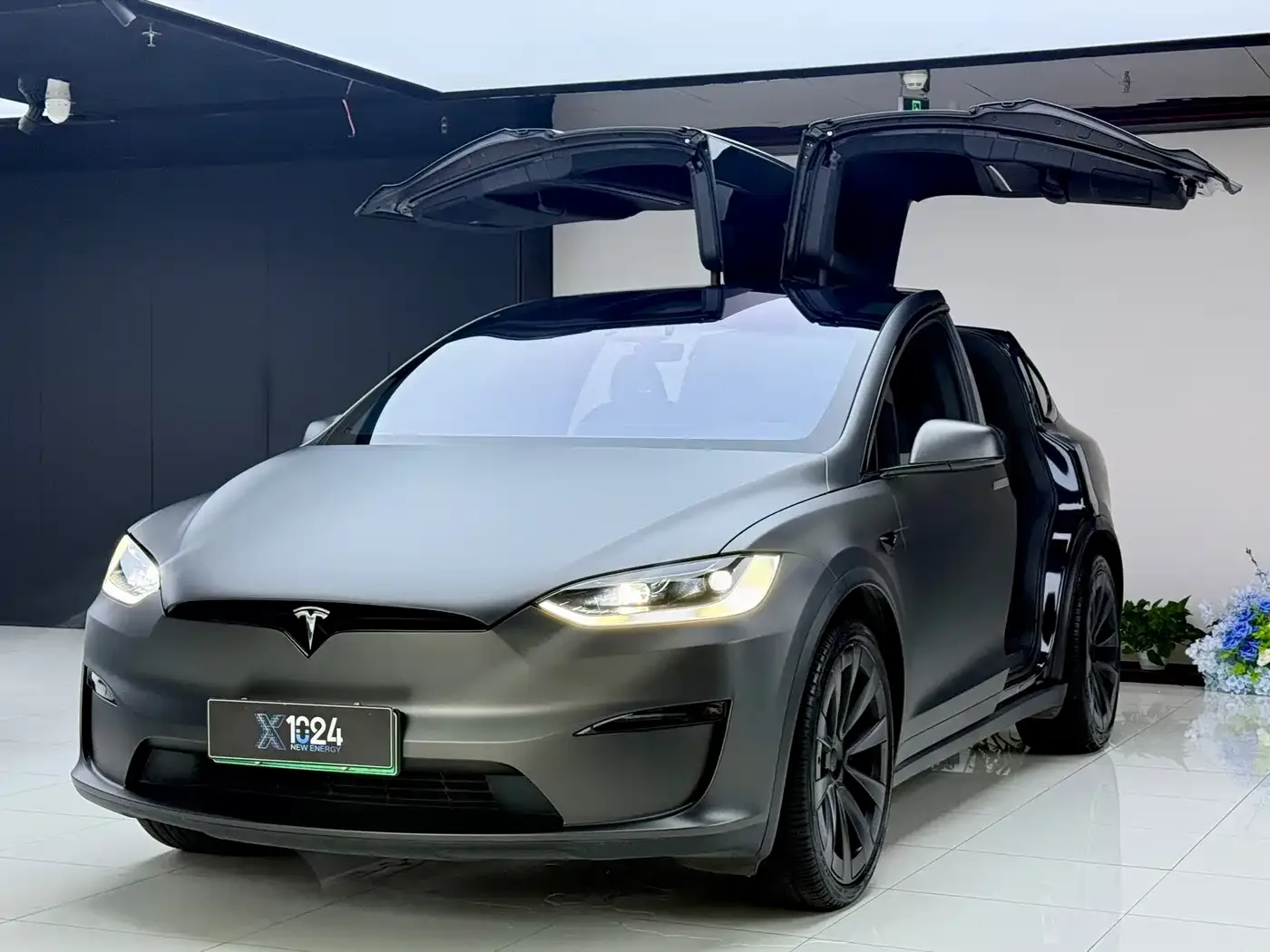 Фотография автомобиля — Tesla Model X