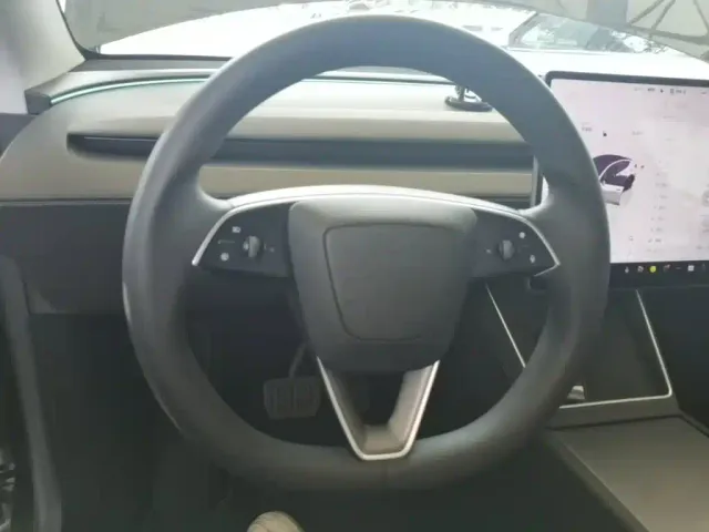 Tesla Model Y — Фото автомобиля 10