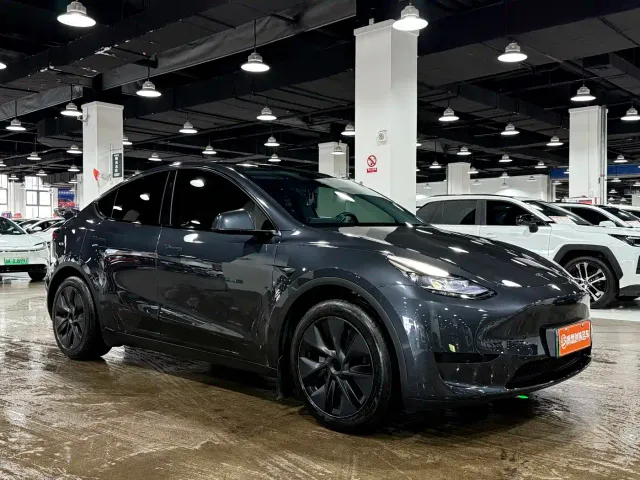 Tesla Model Y — Фото автомобиля 3