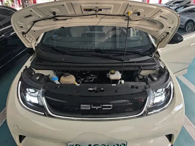 BYD Dolphin — Фото автомобиля 19