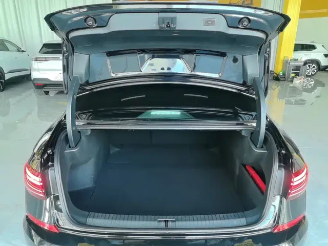 Volkswagen Passat — Фото автомобиля 18