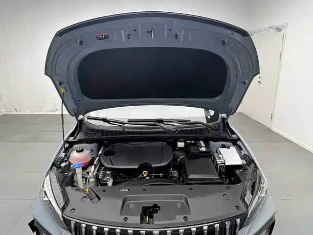 Geely Binrui — Фото автомобиля 15