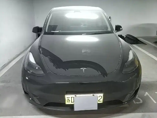 Tesla Model Y — Фото автомобиля 2
