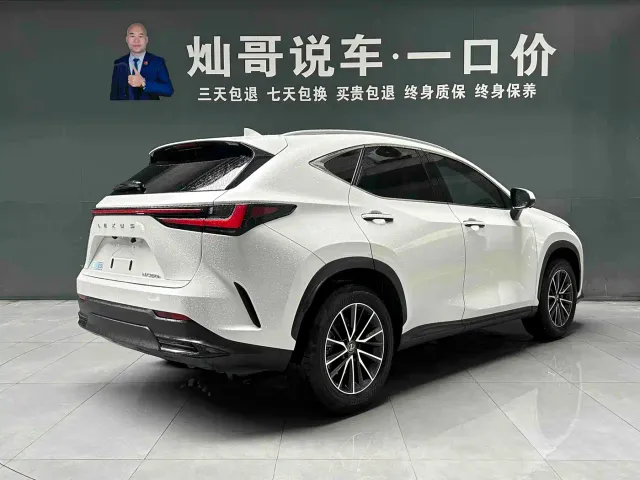 Lexus NX — Фото автомобиля 20