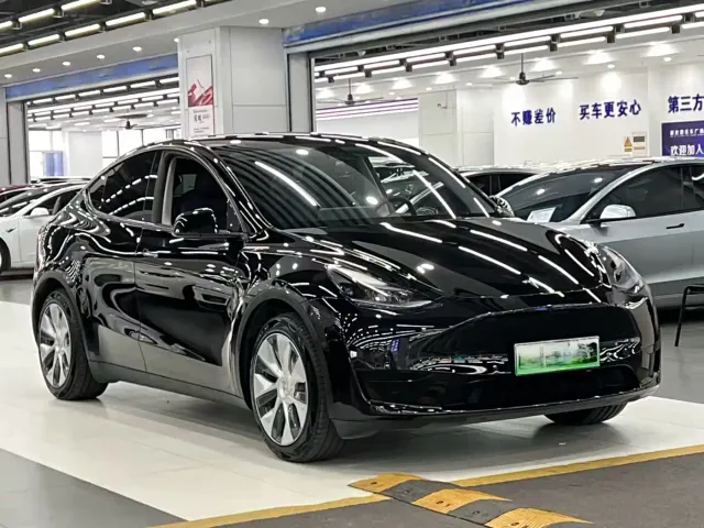 Tesla Model Y — Фото автомобиля 3