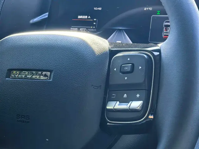 Haval Haval Big Dog 2022 2.0T DCT AWD Howling Celestial Dog Edition — Фото автомобиля 28