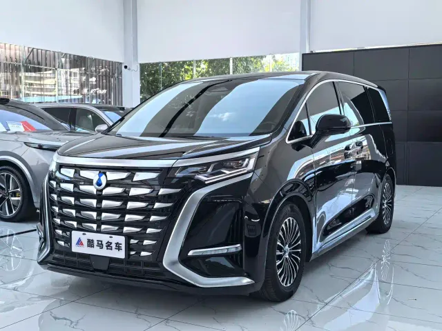 Фотография автомобиля — Denza D9