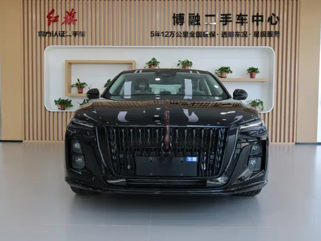 Hongqi Hongqi H5 2025 2.0T Automatic Mystic Shadow 2 Million Edition — Фото автомобиля 3