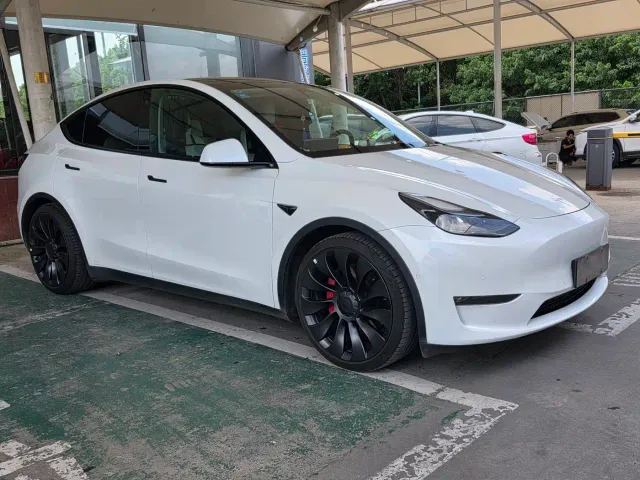 Tesla Model Y — Фото автомобиля 3