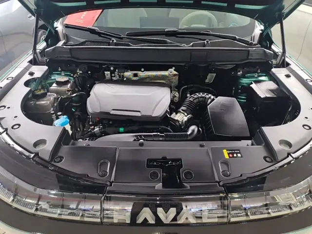Haval Xiaolong MAX — Фото автомобиля 19