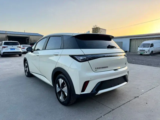 BYD Dolphin — Фото автомобиля 12