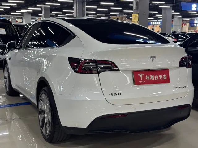 Tesla Model Y — Фото автомобиля 7