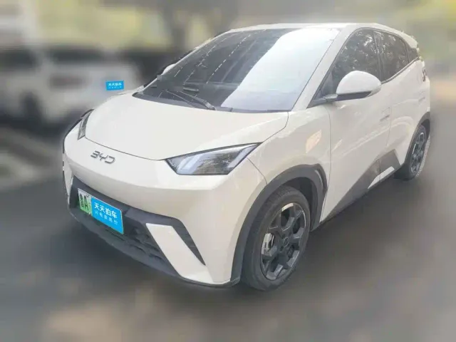 Фотография автомобиля — BYD Seagull