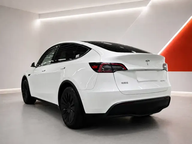 Tesla Model Y — Фото автомобиля 9
